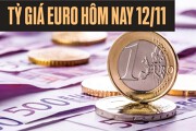 Tỷ giá euro ngày 12/11: Tiếp đà giảm sâu