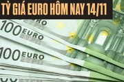 Tỷ giá euro ngày 14/11: Tiếp tục sụt giảm tại các ngân hàng